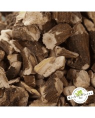 Pissenlit - Racines en vrac - HERBORISTERIE DU PALAIS ROYAL PARIS MICHEL PIERRE