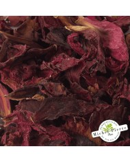 Pivoine - Fleurs en vrac - HERBORISTERIE DU PALAIS ROYAL PARIS MICHEL PIERRE