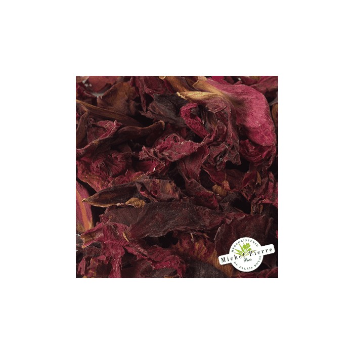 Pivoine - Fleurs en vrac - HERBORISTERIE DU PALAIS ROYAL PARIS MICHEL PIERRE