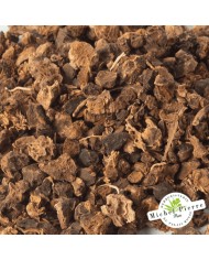 Potentille Tormentille - Racines en vrac - HERBORISTERIE DU PALAIS ROYAL PARIS MICHEL PIERRE