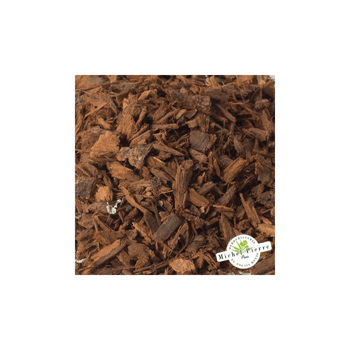 Prunier d'Afrique détail plante Herboristerie du Palais Royal Paris Michel Pierre