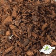 Prunier d'Afrique détail plante Herboristerie du Palais Royal Paris Michel Pierre Prunier d'Afrique détail plante Herboristerie du Palais Royal Paris Michel Pierre