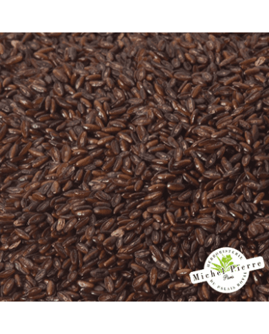 Psyllium noir - Graines en vrac - HERBORISTERIE DU PALAIS ROYAL PARIS MICHEL PIERRE