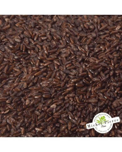 Psyllium noir - Graines en vrac - HERBORISTERIE DU PALAIS ROYAL PARIS MICHEL PIERRE Psyllium noir - Graines en vrac - HERBORISTERIE DU PALAIS ROYAL PARIS MICHEL PIERRE