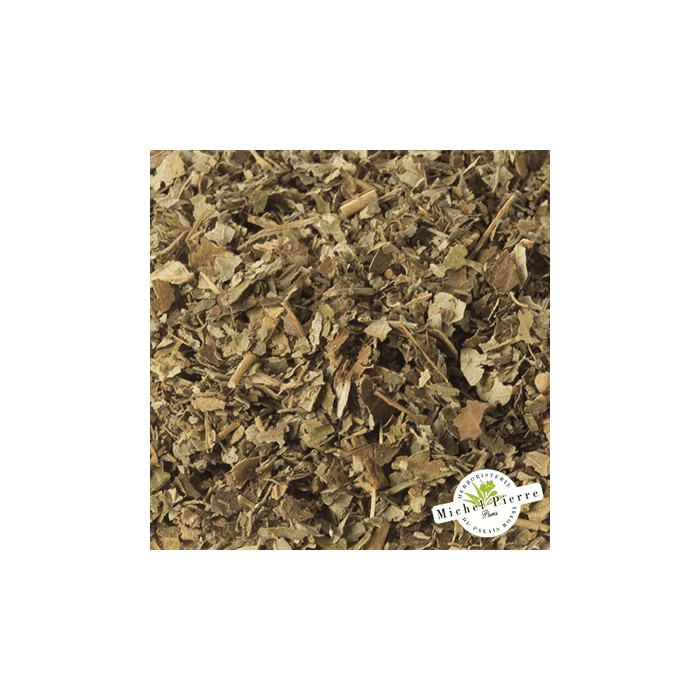 Ronce - Feuilles en vrac- HERBORISTERIE DU PALAIS ROYAL PARIS MICHEL PIERRE