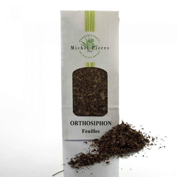 Orthosiphon - Feuilles en vrac