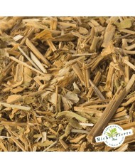 Saponaire - Parties Aériennes en vrac - HERBORISTERIE DU PALAIS ROYAL PARIS MICHEL PIERRE Saponaire - Parties Aériennes en vrac - HERBORISTERIE DU PALAIS ROYAL PARIS MICHEL PIERRE