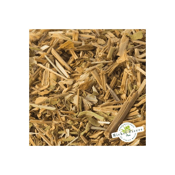 Saponaire - Parties Aériennes en vrac - HERBORISTERIE DU PALAIS ROYAL PARIS MICHEL PIERRE