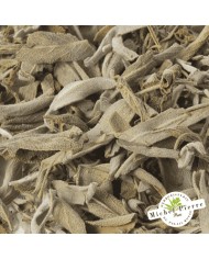 Sauge officinale - Feuilles en vrac - HERBORISTERIE DU PALAIS ROYAL PARIS MICHEL PIERRE Sauge officinale - Feuilles en vrac - HERBORISTERIE DU PALAIS ROYAL PARIS MICHEL PIERRE