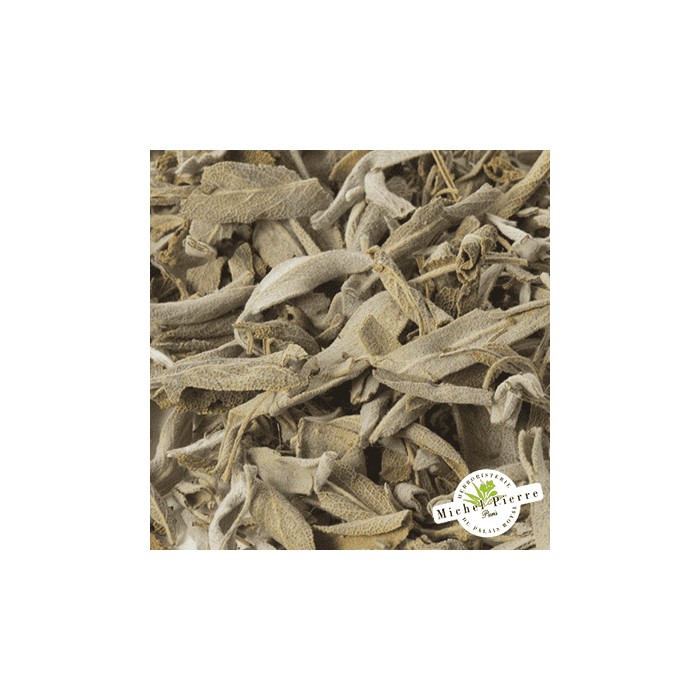 Sauge officinale - Feuilles en vrac - HERBORISTERIE DU PALAIS ROYAL PARIS MICHEL PIERRE