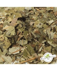 Saule - Feuilles en vrac - HERBORISTERIE DU PALAIS ROYAL PARIS MICHEL PIERRE