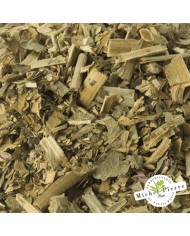 Scabieuse - Partie aérienne en vrac - HERBORISTERIE DU PALAIS ROYAL PARIS MICHEL PIERRE