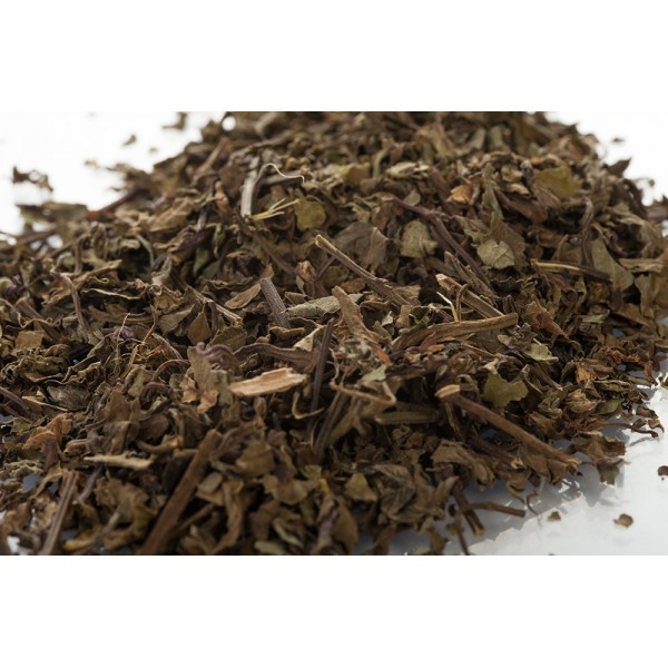 Orthosiphon - Feuilles en vrac