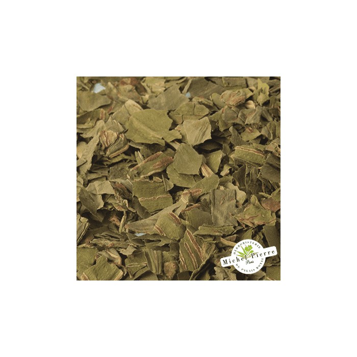 Scolopendre - Fronde en vrac - HERBORISTERIE DU PALAIS ROYAL PARIS MICHEL PIERRE