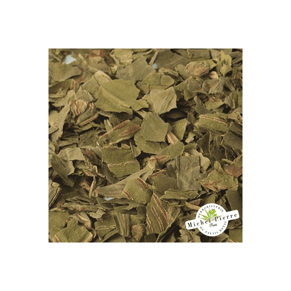Scolopendre - Fronde en vrac - HERBORISTERIE DU PALAIS ROYAL PARIS MICHEL PIERRE