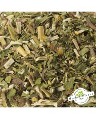 Solidage "Verge d'or" - Parties aériennes en vrac - HERBORISTERIE DU PALAIS ROYAL PARIS MICHEL PIERRE