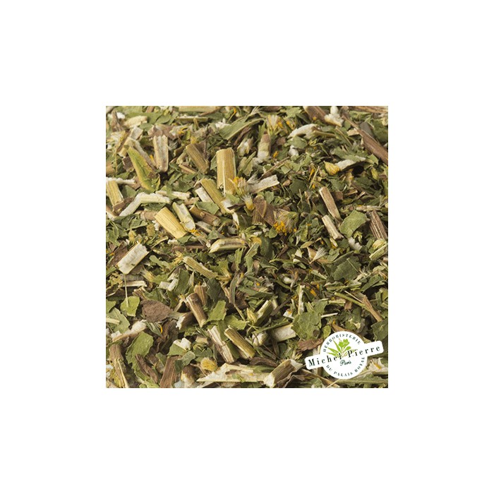 Solidage "Verge d'or" - Parties aériennes en vrac - HERBORISTERIE DU PALAIS ROYAL PARIS MICHEL PIERRE