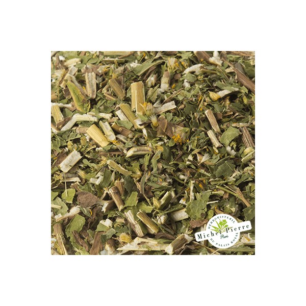 Solidage "Verge d'or" - Parties aériennes en vrac - HERBORISTERIE DU PALAIS ROYAL PARIS MICHEL PIERRE