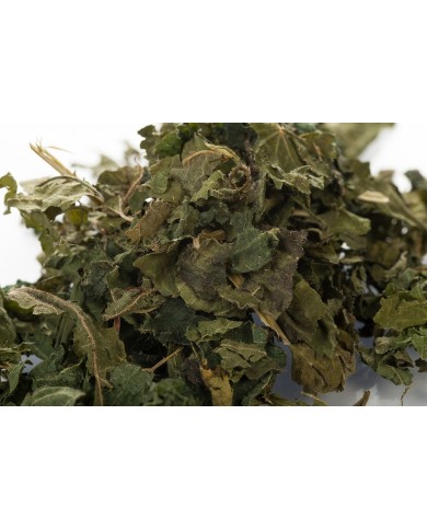 Ortie piquante feuilles en vrac BIO Ortie piquante feuilles en vrac BIO