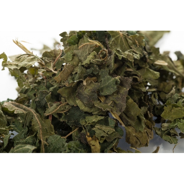 Ortie piquante feuilles en vrac BIO