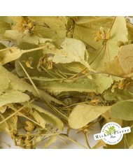 Tilleul - Bractées en vrac - HERBORISTERIE DU PALAIS ROYAL PARIS MICHEL PIERRE