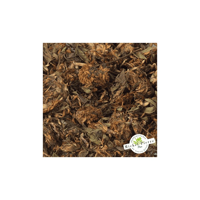 Trèfle rouge - Fleurs en vrac - HERBORISTERIE DU PALAIS ROYAL PARIS MICHEL PIERRE