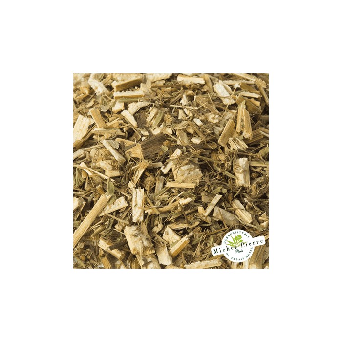 Vergerette du Canada - Parties aériennes en vrac - HERBORISTERIE DU PALAIS ROYAL PARIS MICHEL PIERRE