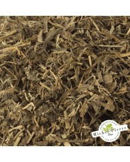 Véronique officinale - Parties Aériennes en vrac - HERBORISTERIE DU PALAIS ROYAL PARIS MICHEL PIERRE