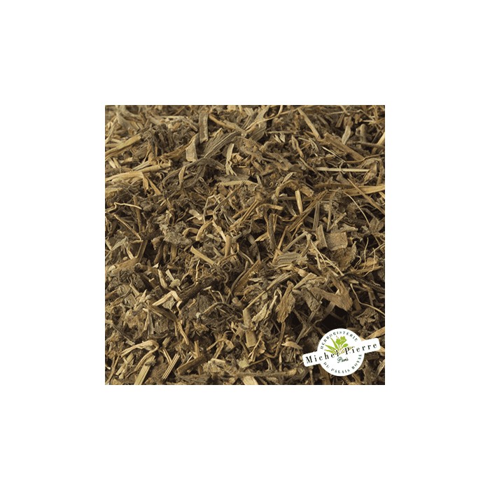 Véronique officinale - Parties Aériennes en vrac - HERBORISTERIE DU PALAIS ROYAL PARIS MICHEL PIERRE