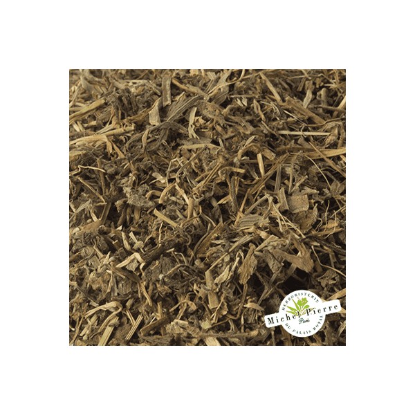 Véronique officinale - Parties Aériennes en vrac - HERBORISTERIE DU PALAIS ROYAL PARIS MICHEL PIERRE