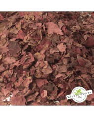 Vigne rouge - Feuilles en vrac - HERBORISTERIE DU PALAIS ROYAL PARIS MICHEL PIERRE