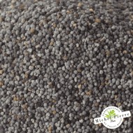 Pavot bleu - Graines en vrac - HERBORISTERIE DU PALAIS ROYAL PARIS MICHEL PIERRE