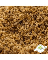 Sureau noir - Fleurs en vrac - HERBORISTERIE DU PALAIS ROYAL PARIS MICHEL PIERRE Sureau noir - Fleurs en vrac - HERBORISTERIE DU PALAIS ROYAL PARIS MICHEL PIERRE