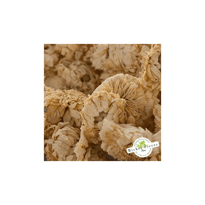 Camomille romaine - Fleurs en vrac - HERBORISTERIE DU PALAIS ROYAL PARIS MICHEL PIERRE