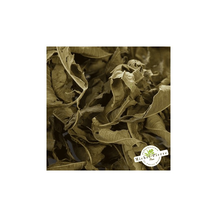 Verveine odorante - Feuilles en vrac - HERBORISTERIE DU PALAIS ROYAL PARIS MICHEL PIERRE