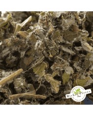 Bardane feuilles en vrac - HERBORISTERIE DU PALAIS ROYAL PARIS MICHEL PIERRE Bardane feuilles en vrac - HERBORISTERIE DU PALAIS ROYAL PARIS MICHEL PIERRE