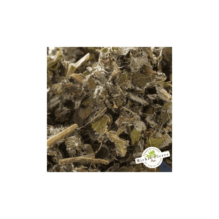 Bardane feuilles en vrac - HERBORISTERIE DU PALAIS ROYAL PARIS MICHEL PIERRE