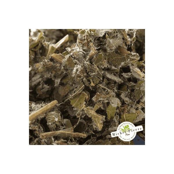Bardane feuilles en vrac - HERBORISTERIE DU PALAIS ROYAL PARIS MICHEL PIERRE