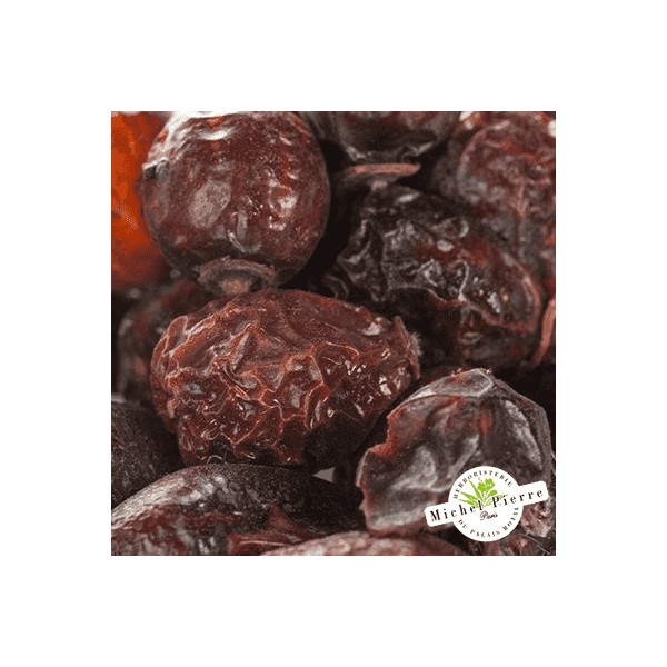 Cynorrhodon baies entières en vrac - HERBORISTERIE DU PALAIS ROYAL PARIS MICHEL PIERRE