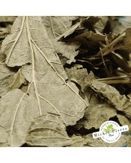 Cassis - Feuilles en vrac - HERBORISTERIE DU PALAIS ROYAL PARIS MICHEL PIERRE Cassis - Feuilles en vrac - HERBORISTERIE DU PALAIS ROYAL PARIS MICHEL PIERRE