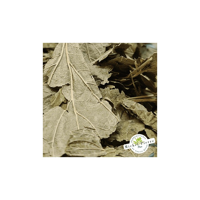 Cassis - Feuilles en vrac - HERBORISTERIE DU PALAIS ROYAL PARIS MICHEL PIERRE