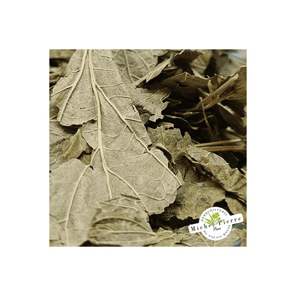 Cassis - Feuilles en vrac - HERBORISTERIE DU PALAIS ROYAL PARIS MICHEL PIERRE