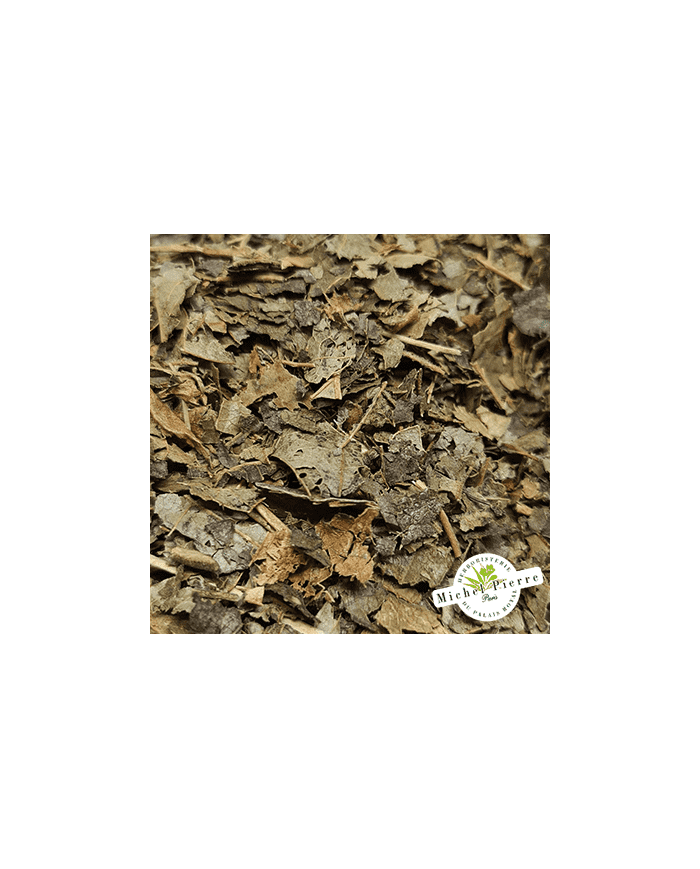 Hamamélis - Feuilles en vrac - HERBORISTERIE DU PALAIS ROYAL PARIS MICHEL PIERRE