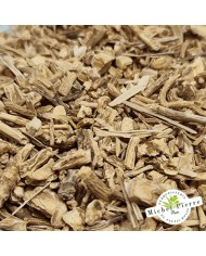 Saponaire Racine détail Herboristerie du Palais Royal Paris Michel Pierre