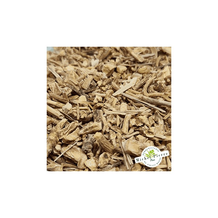 Saponaire Racine détail Herboristerie du Palais Royal Paris Michel Pierre