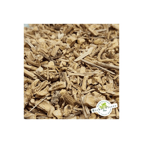 Saponaire Racine détail Herboristerie du Palais Royal Paris Michel Pierre