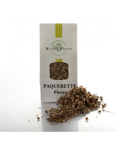 Pâquerette - Fleurs en vrac Pâquerette - Fleurs en vrac