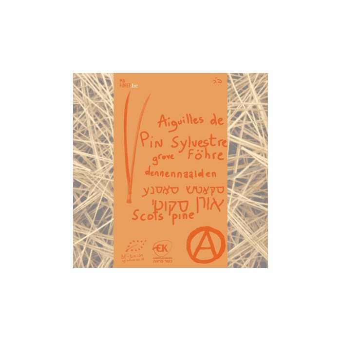 Pin Sylvestre aiguilles bio