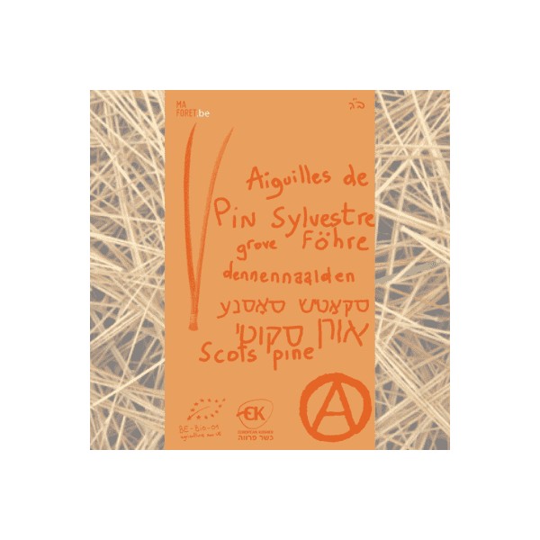 Pin Sylvestre aiguilles bio