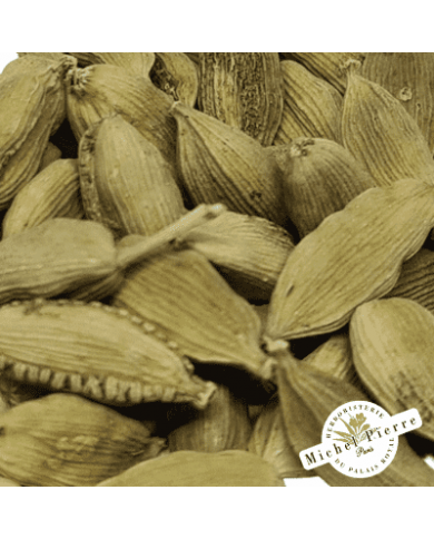 Cardamome - Fruit en vrac - Herboristerie du Palais Royal Paris